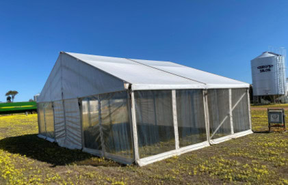 Field Days