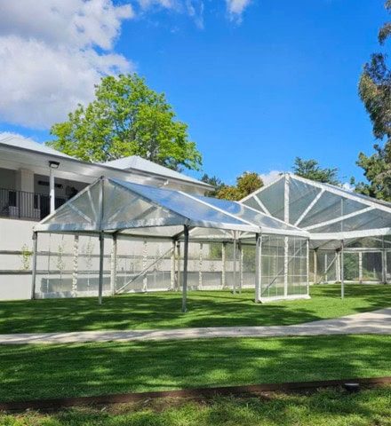 clear-marquee-featured-image